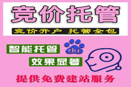 百度竞价推广费用大揭秘：成功案例分享